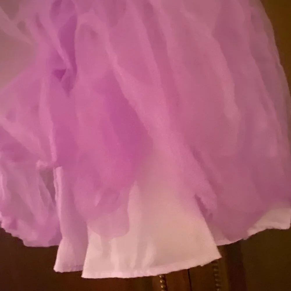 Baby Lulu Purple Dress with Tulle Skirt (2 pc set) - Size 6 - Picture 9 of 11